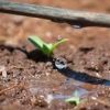 20mm Online Drip Irrigation Pipe 300 Meter  Lateral 20mm Pipe for Plant Gardening - Image 2