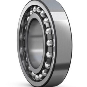 SKF 1205 EKTN9 - 1213 EKTN9 SKF Self Aligning Ball Bearing