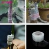 Mplus Grafting Tape 1 inch x 700 Meter for Nurcery and Garden - Image 6