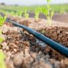 20mm Online Drip Irrigation Pipe 300 Meter  Lateral 20mm Pipe for Plant Gardening - Image 8