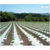 White / Black Mulching Film 30 Micron 400 Meter Roll