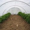 Mplus Crop Cover 10 Feet  400 Meter Protection Cover Non-Woven Fabric Plant Cover - Image 8